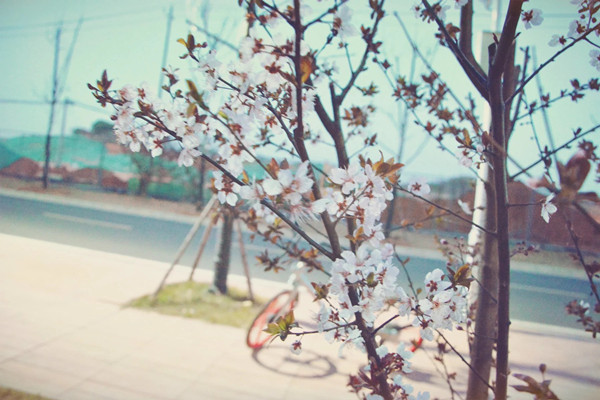 伟德BETVLCTOR