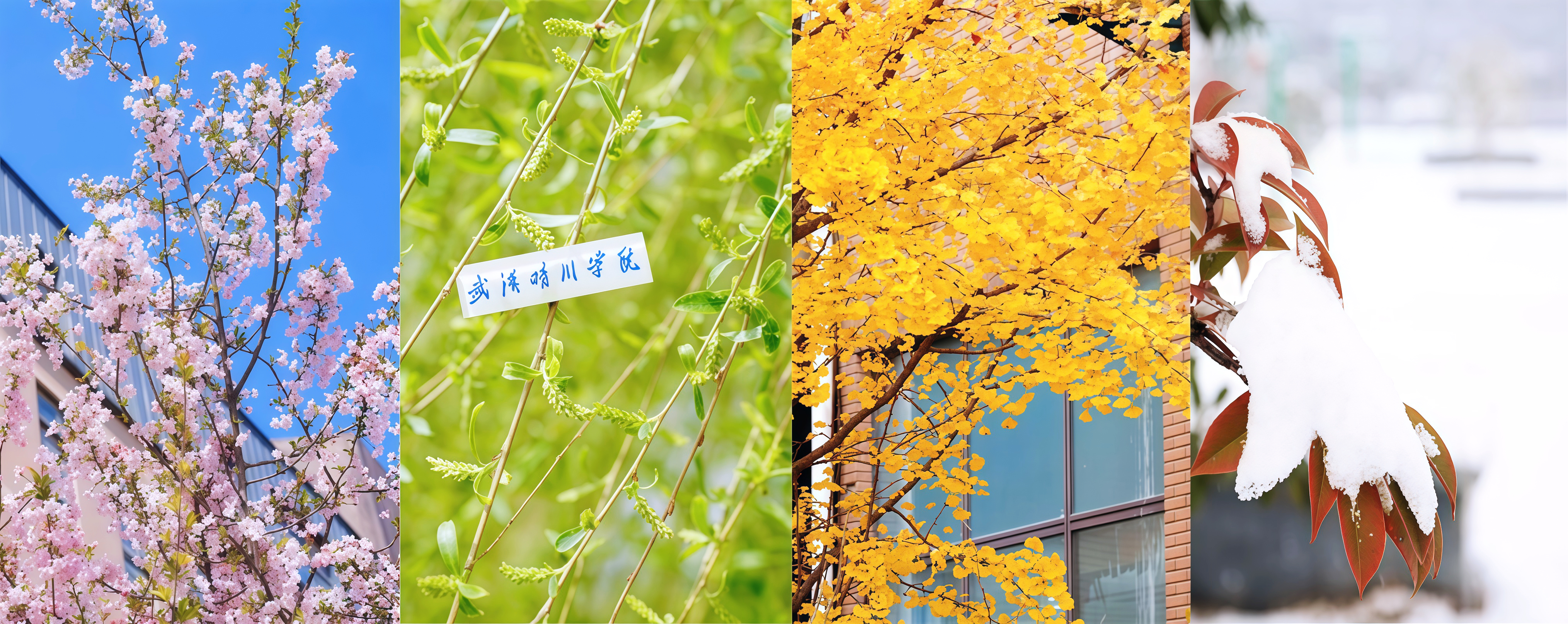 伟德BETVLCTOR